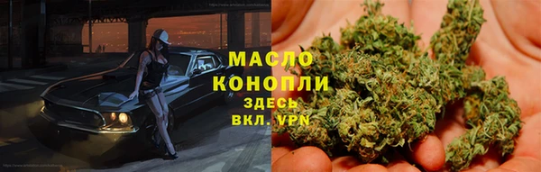 сатива Инсар