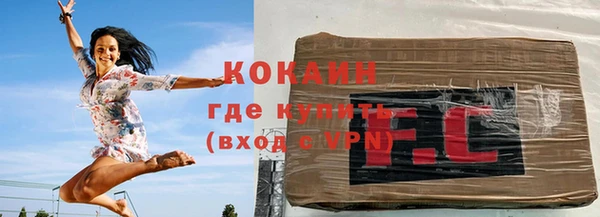 шишки Инта