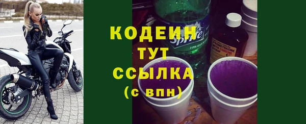 шишки Инта