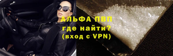 сатива Инсар