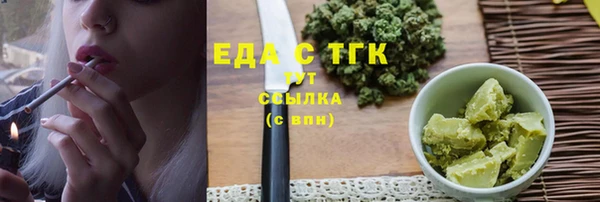шишки Инта