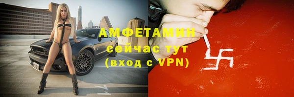 сатива Инсар