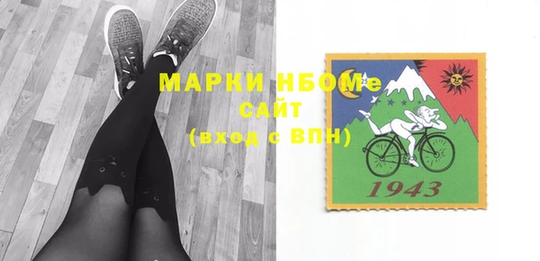шишки Инта