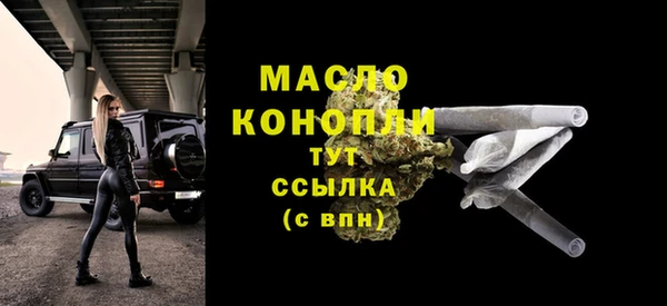 сатива Инсар