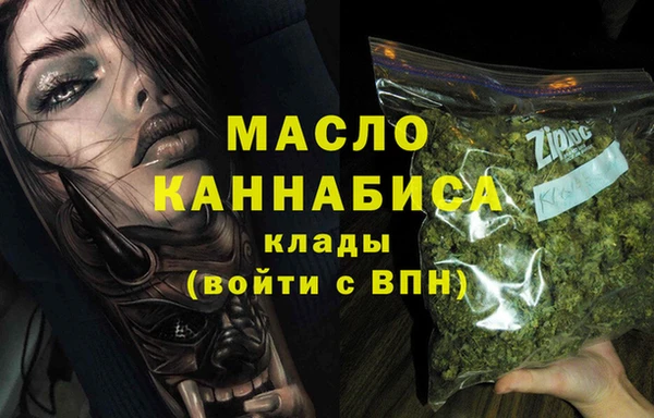 шишки Инта
