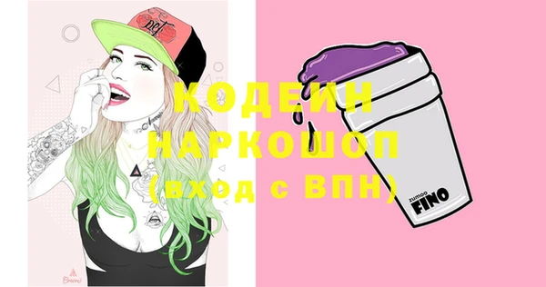 шишки Инта