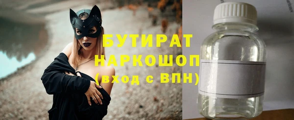шишки Инта
