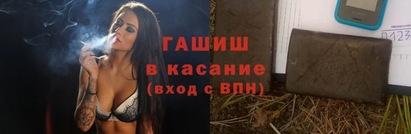 шишки Инта