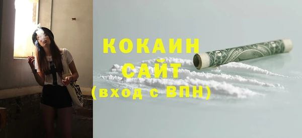 шишки Инта
