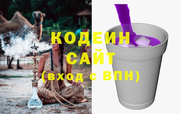 шишки Инта