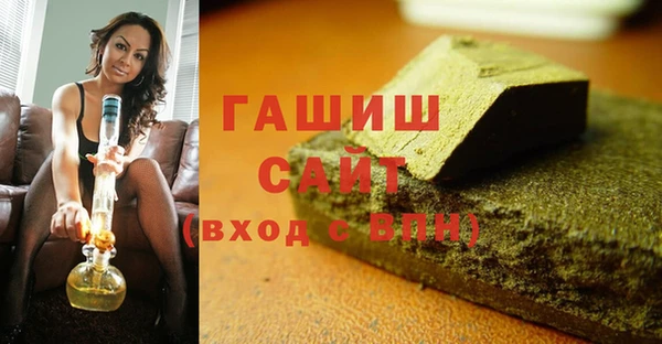 шишки Инта