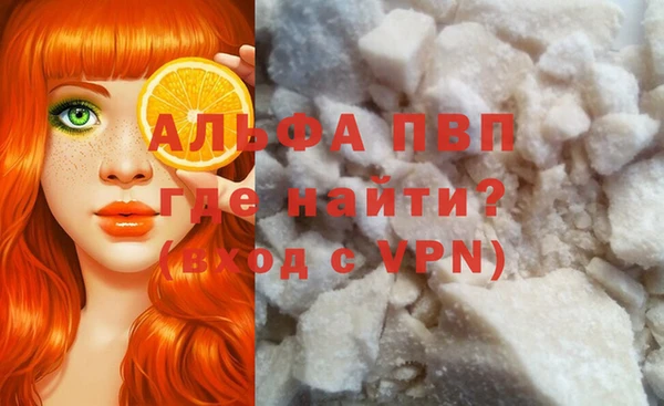 шишки Инта
