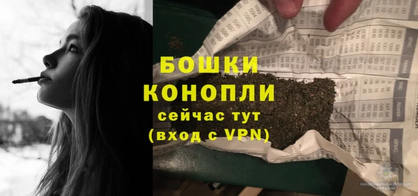 сатива Инсар