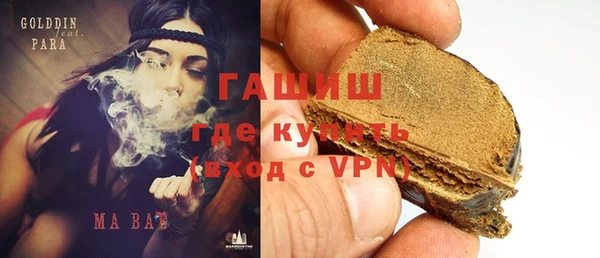 шишки Инта