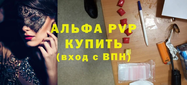 шишки Инта