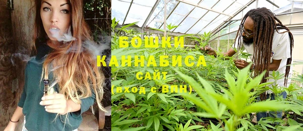 сатива Инсар