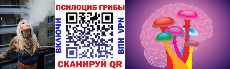 Галлюциногенные грибы Psilocybe  Купить где  Елабуга 